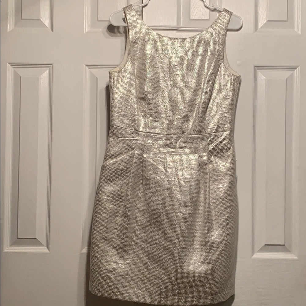 Dalia Shimmering Silver Dress 👗